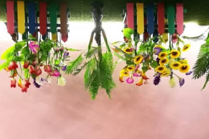 upside down house gallery